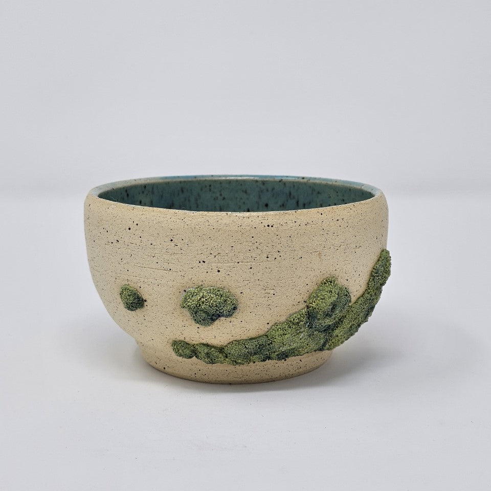 Algae Bowls 2020 Collection