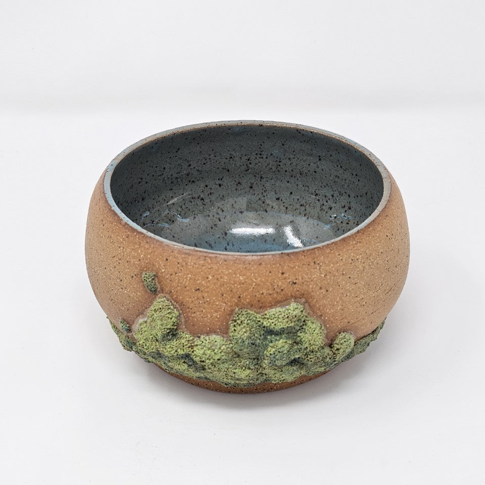 Algae Bowls 2020 Collection