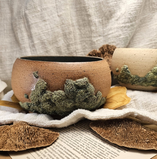 Algae Bowls 2020 Collection