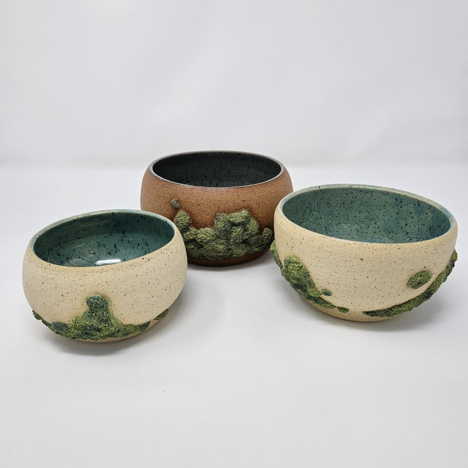 Algae Bowls 2020 Collection
