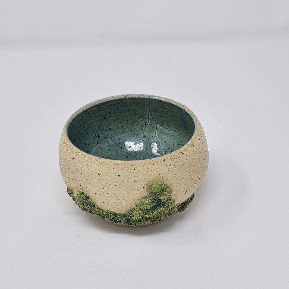 Algae Bowls 2020 Collection